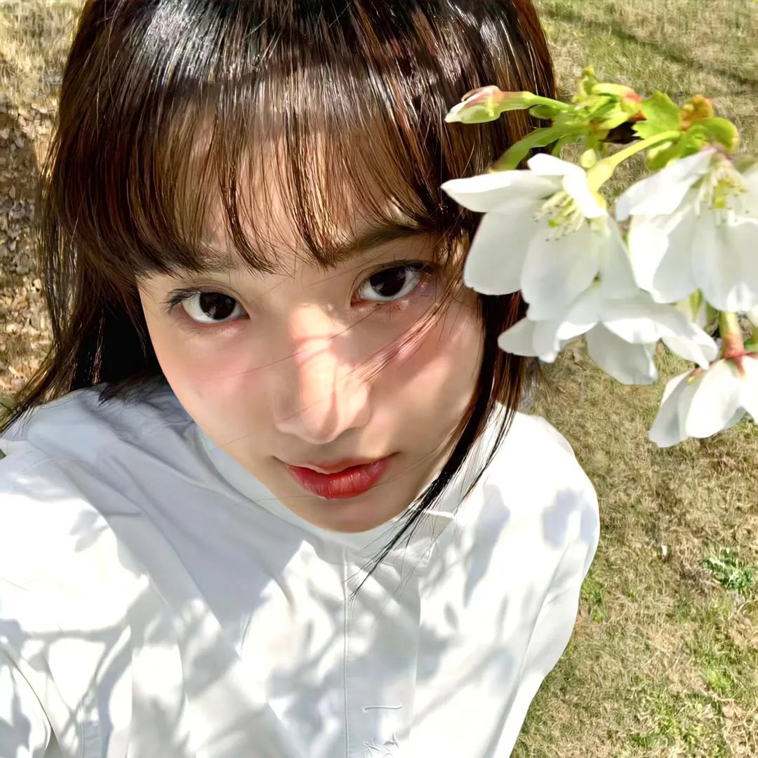 守护猫娘绯鞠